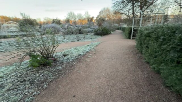 A quiet morning walk reveals frost-covered lawns and dormant rose bushes. The cold, crisp air brings a sense of stillness to the winding garden paths as the sun begins to rise.