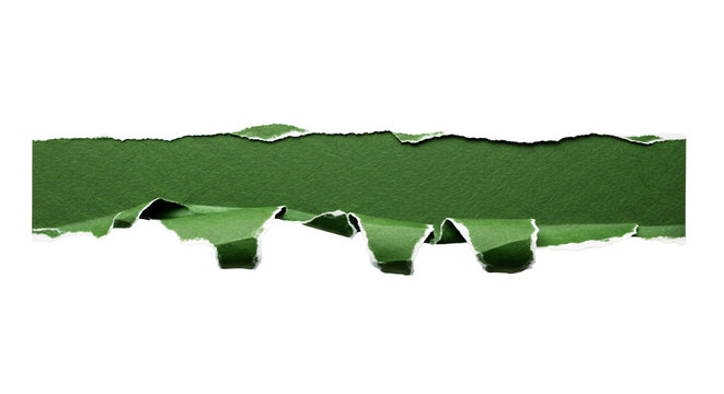 Torn green paper with folded ragged edges.