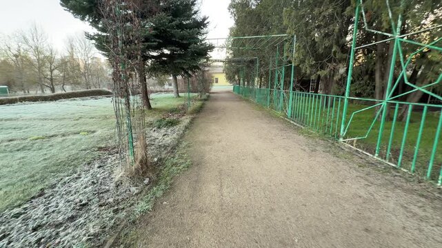 Bright sunlight shines through the branches of tall, leafless trees. The warm light against the cold morning air creates a peaceful and hopeful feeling in the quiet park.