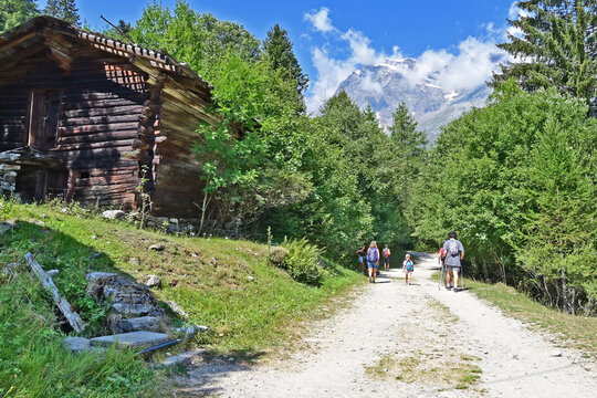Macugnaga, torrenti, boschi, sentieri e pascoli, Verbano Cusio Ossola, Piemonte, Italia