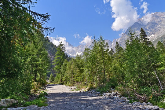 Macugnaga, torrenti, boschi, sentieri e pascoli, Verbano Cusio Ossola, Piemonte, Italia