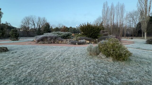 The morning moon stays visible over a field of frosted grass and evergreen bushes. A smooth path winds through the quiet, frozen botanical garden. The air feels very still, cold, and magical.