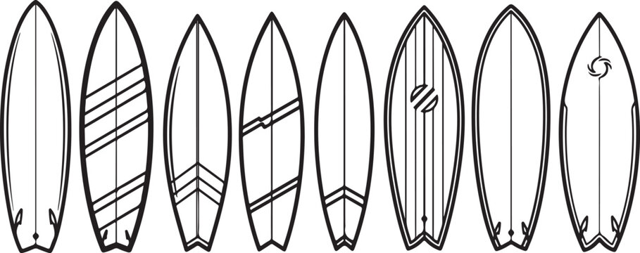 Line drawings of various leaf shapes with detailed venation patterns Vector