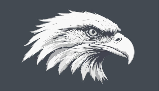 Eagle head silhouette vector.   