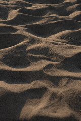 Fototapeta premium Natural abstract texture background with minimal composition and flowing organic patterns. Close up of wind formed sand ripples.