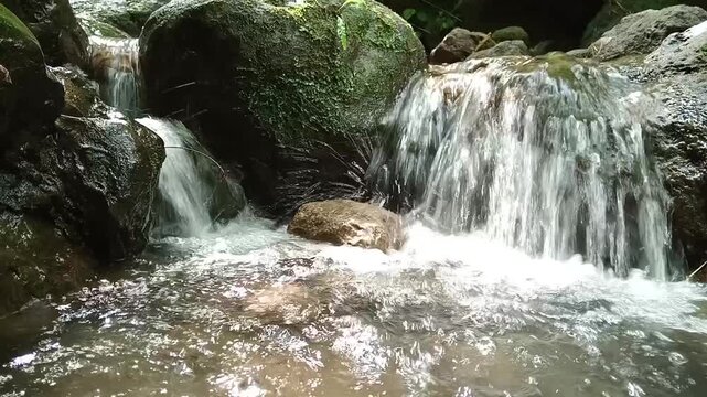 Small Cascade Waterfall in Forest Stream