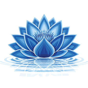 Blue Lotus Flower Water Plant.