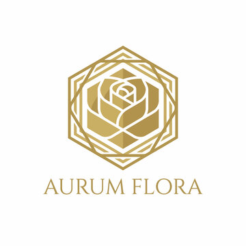 This sophisticated hexagonal gold floral logo suggests luxury and elegance, ideal for branding in floral businesses or upscale markets, reflecting taste and refinement in design.