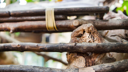 Fototapeta premium Wooden Logs Tied with Rope in Natural Environment