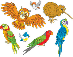 Funny cartoony owl, kiwi, sparrow, titmouse and exotic parrots, a set of vector cartoon illustrations on a white background © Alexey Bannykh