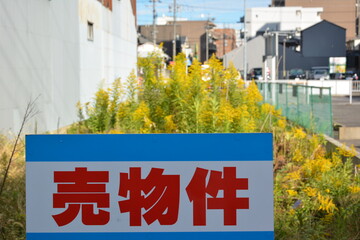 空き地の草むらに設置された売物件の看板 © apoptosis