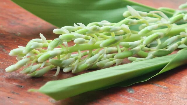 Galangal flowers are aromatic tropical blooms from rhizome plants used in cuisine.