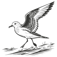 Fototapeta premium A detailed black and white illustration depicts a seagull in flight over a textured wavy water surface high quality professional