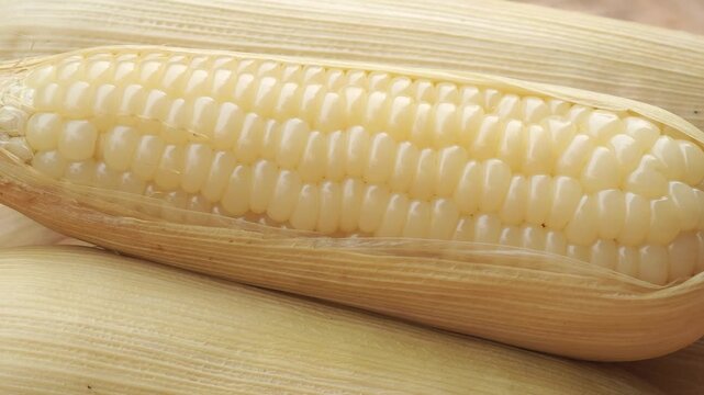 Boiled White corn on white background close up
