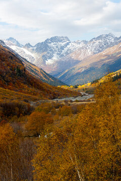 View of high snow-capped mountains and forested slopes in the Dombay-Ulgen Gorge