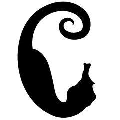 Silhouette of a baby seahorse © Breck