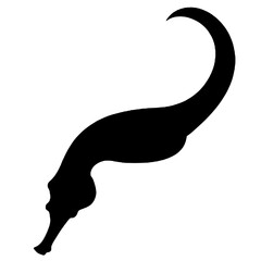 Silhouette of a baby seahorse © Breck