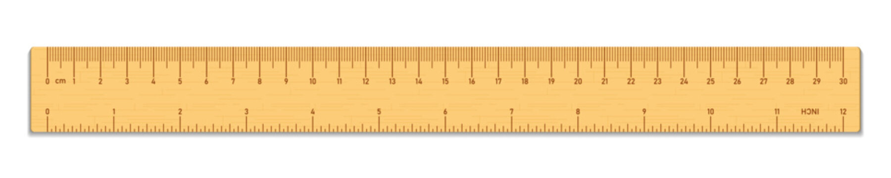 Realistic wooden tape ruler isolated on transparent background. Double sided measurement in cm and inches. Vector PNG