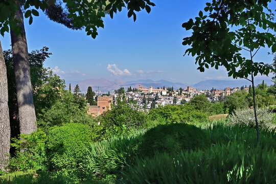 Granada, giardini e roseti in fiore dell'Alhambra, Andalusia, Spagna