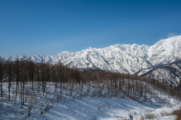 北アルプスの山並み　長野県白馬村 © RATM