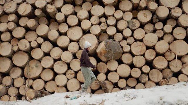 A woman walks past a tall wall of stacked logs in a forest. The ground is covered with snow. The sun shines through the trees in the natural background.