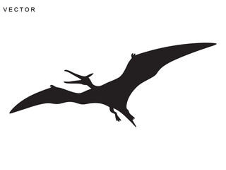 Pterodactyl dinosaur black silhouette vector illustration © Badman