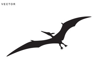 Pterodactyl dinosaur black silhouette vector illustration © Badman