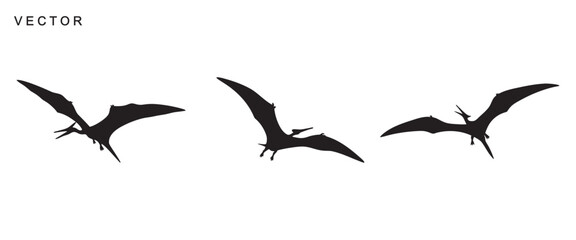 Pterodactyl dinosaur black silhouette vector illustration © Badman