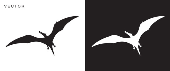 Pterodactyl dinosaur black silhouette vector illustration © Badman