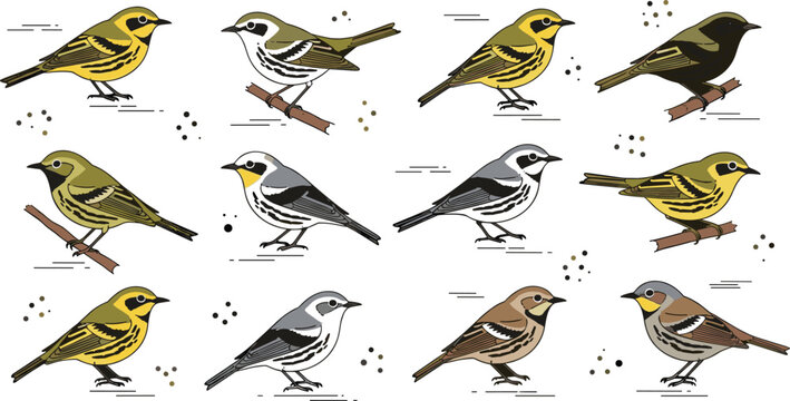 Small birds collection with sparrow finch warbler perched wildlife animals nature ornithology and detailed illustration set