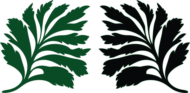 Hojas de perejil estilizadas en formato vectorial, siluetas bot&aacute;nicas de color verde y negro, elementos gr&aacute;ficos de hierbas arom&aacute;ticas para dise&ntilde;o culinario