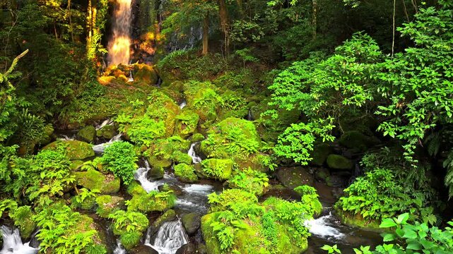 新緑の苔岩と清流のせせらぎ 光輝く滝が織りなす癒やしの絶景
「一筋の光が導く、水の物語。清らかなせせらぎと、光り輝く滝の飛沫が、見る人の心に深い安らぎと浄化をもたらします。」
阿蘇郡西原村(白糸の滝)
Lush green moss-covered rocks and the gentle murmur of a clear stream