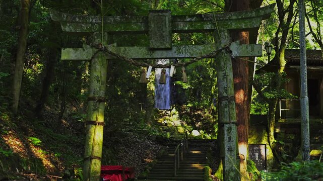 時を刻む石鳥居 木漏れ日が揺れる神秘的な風景
「木々の隙間から差し込む光の筋が、古びた鳥居を照らし出す。自然と信仰が溶け合う、心静まる一瞬を捉えました。」
阿蘇郡西原村(白糸の滝)
A mystical landscape of a torii gate and sunlight filtering through the trees.
