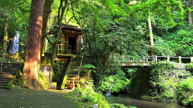 白糸の滝 妙見社（寄姫の滝） 巨木と社殿が調和するパワースポット
「滝の轟音と静寂が交差する、妙見社の杜。古くから水の神を祀るこの場所には、今も神秘的な空気が流れています。」
阿蘇郡西原村(白糸の滝)
A power spot where giant trees and shrine buildings harmonize.