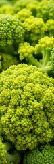 Vibrant green broccoli florets, a healthy and versatile vegetable, healthy, top view