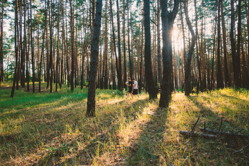 Obraz premium Two Teenage Boys Walking Through Pine Forest with Soccer Ball at Golden Hour Sunset