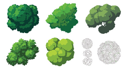 Tree Top View CAD – Landscape & Garden Vector Collection © RNB DESIGN