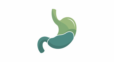 Obraz premium Stylized, flat illustration of a human stomach with distinct upper and lower sections