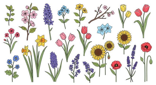 Colorful flowers on white background.