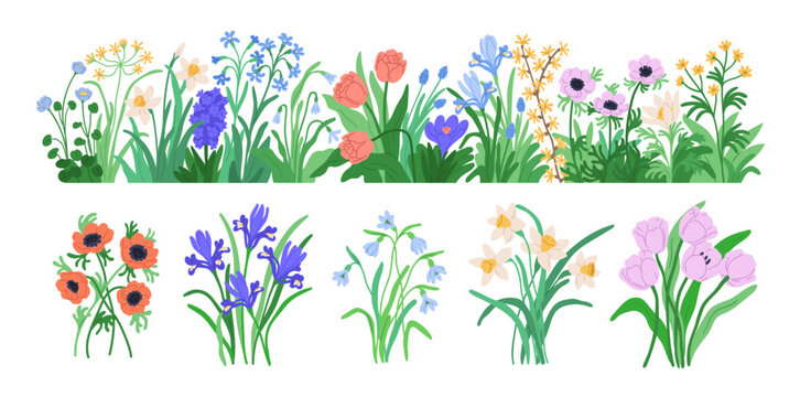 Spring floral blossoms set. Garden and field blooms, wildflowers. Summer plants, nature border decoration and anemone, daffodil, tulip bouquets. Flat vector illustrations isolated on white background