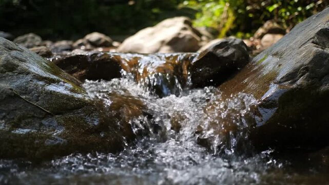 A clear, shallow stream flows over smooth rocks in a lush, green forest environment, creating a tranquil natural scene