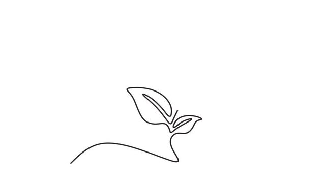 Animated self drawing of continuous line draw of Creative Mind Human Head with Leaf.  Full length one line animation. 4K	