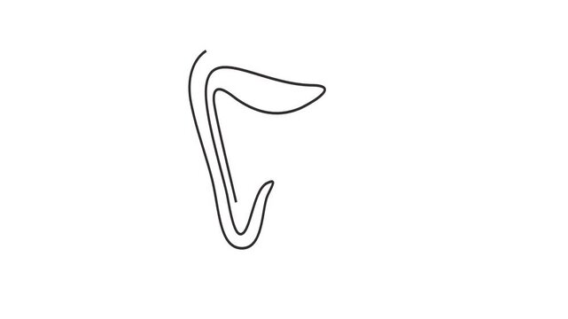 Animated self drawing of continuous line draw of   Full length one line animation. 4K	