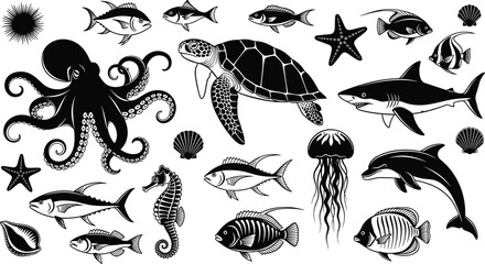 Marine animal collection illustration, octopus, sea turtle, shark, dolphin, jellyfish, seahorse, fish, starfish, seashell, sea urchin, ocean biodiversity design © MstFojila