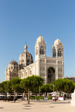 La Cathédrale de La Major &agrave; Marseille, vue de trois quart avant gauche en contre-plong&eacute;e, format vertical, place avec des pins verts donnant sur Les Vo&ucirc;tes de La Major, grand ciel bleu