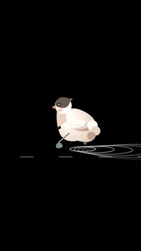 Cute Pastel Dabchick Water Bird Gliding Loop