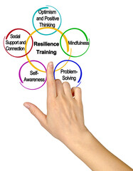 Five Components of Resilience Training