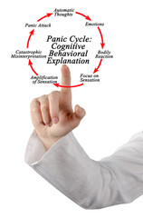 Panic Cycle: Cognitive Behavioral Explanation