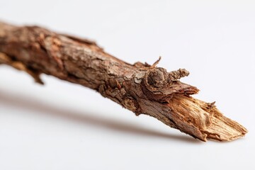 Fototapeta premium Isolated fragment of a branch, weathered bark on white backdrop