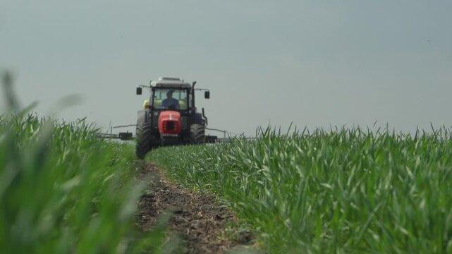 Front view of tractor spraying crops while driving along field track, highlighting mechanized agriculture and precise crop treatment in large scale farming